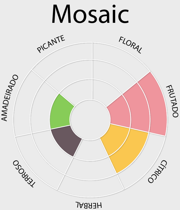 Mosaic – Perfil